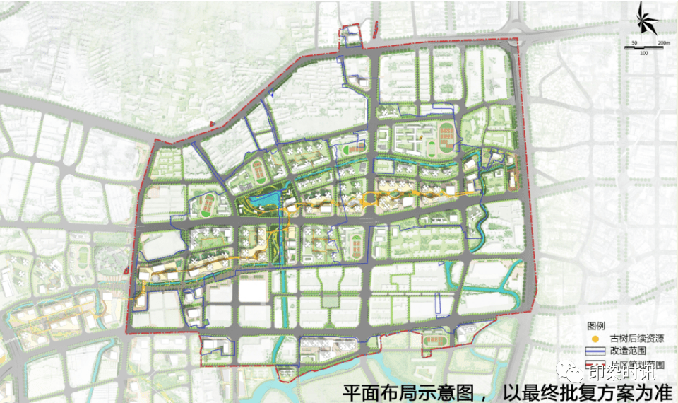 仲康村迈向繁荣与和谐共生的未来发展规划