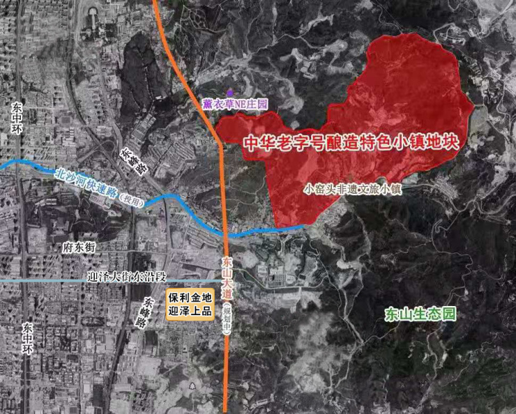 东山区体育局发展规划，塑造活力体育，构建健康社区新篇章