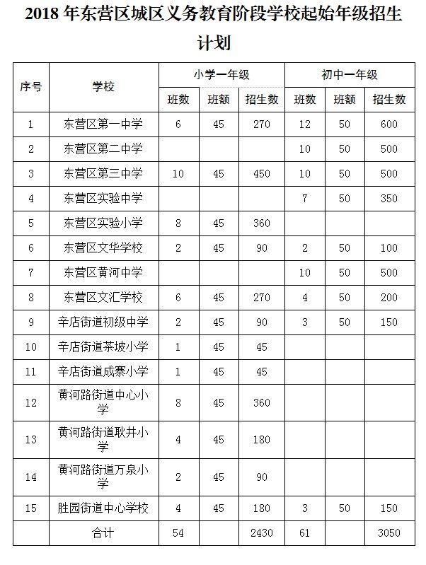 东营区初中未来教育蓝图，最新发展规划揭秘