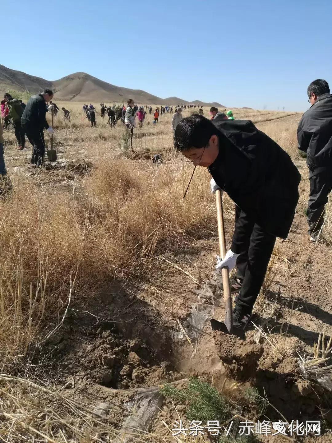 铺地满族乡最新招聘信息汇总