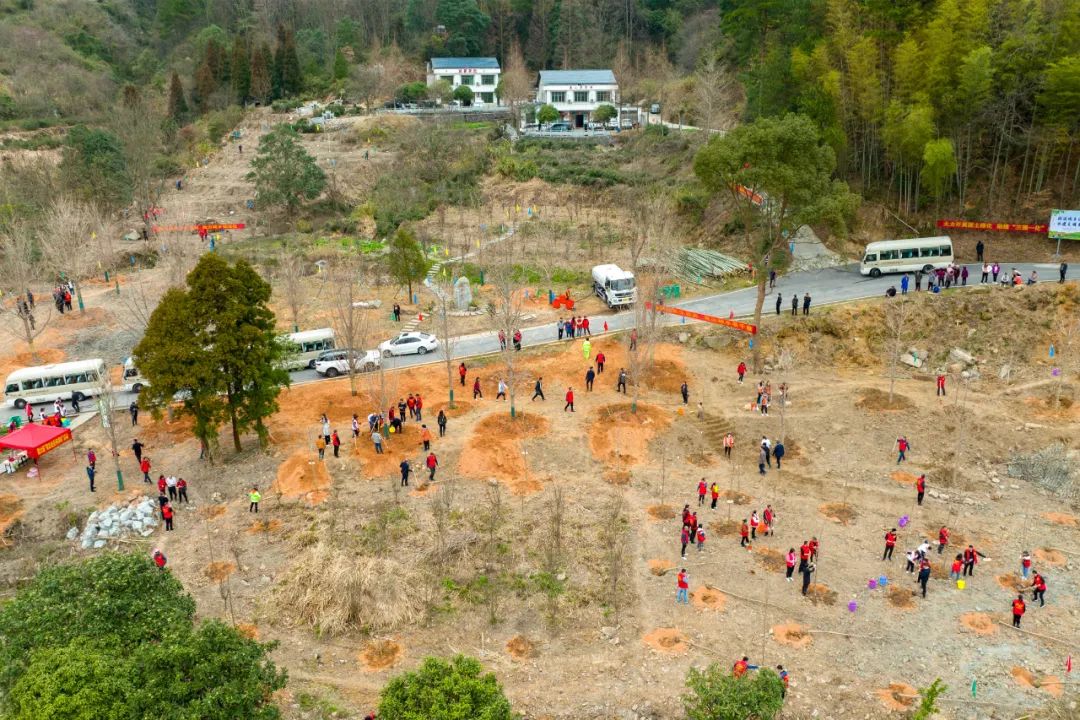 南岳村新项目，乡村振兴的新动力