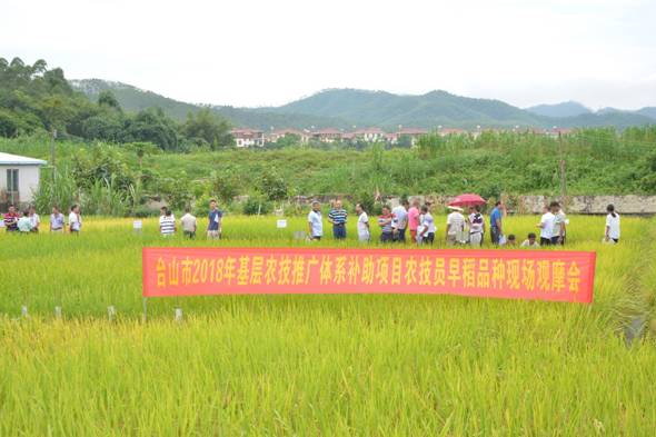 山海关区农业农村局新项目推动农业现代化助力乡村振兴发展