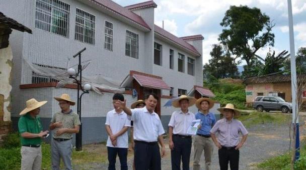 分沂村最新发展规划概览