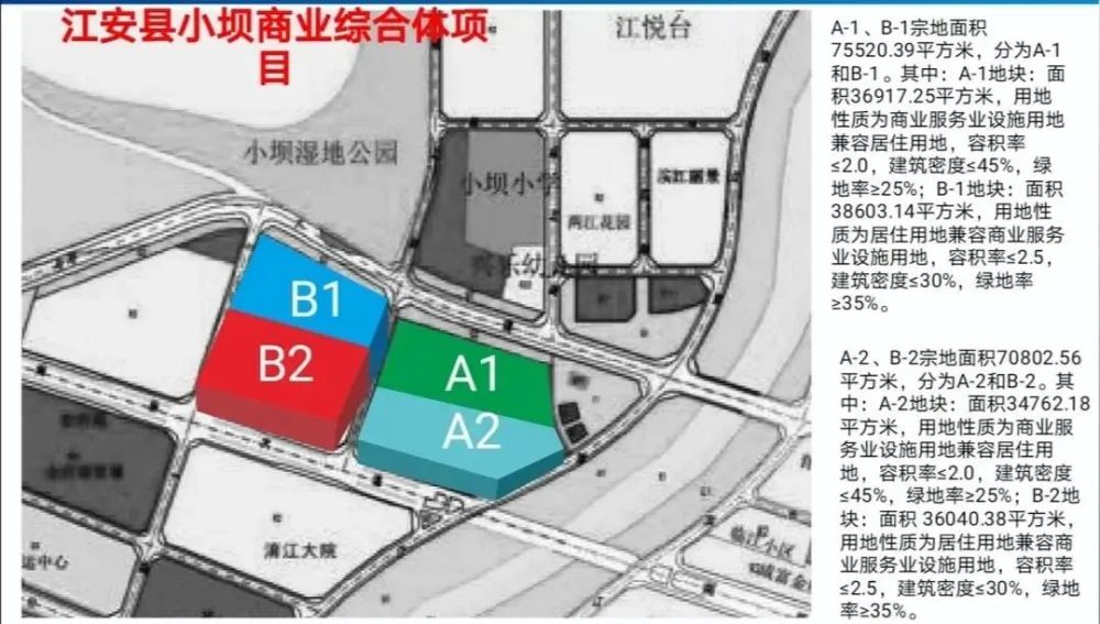 马龙县数据和政务服务局最新发展规划深度探讨