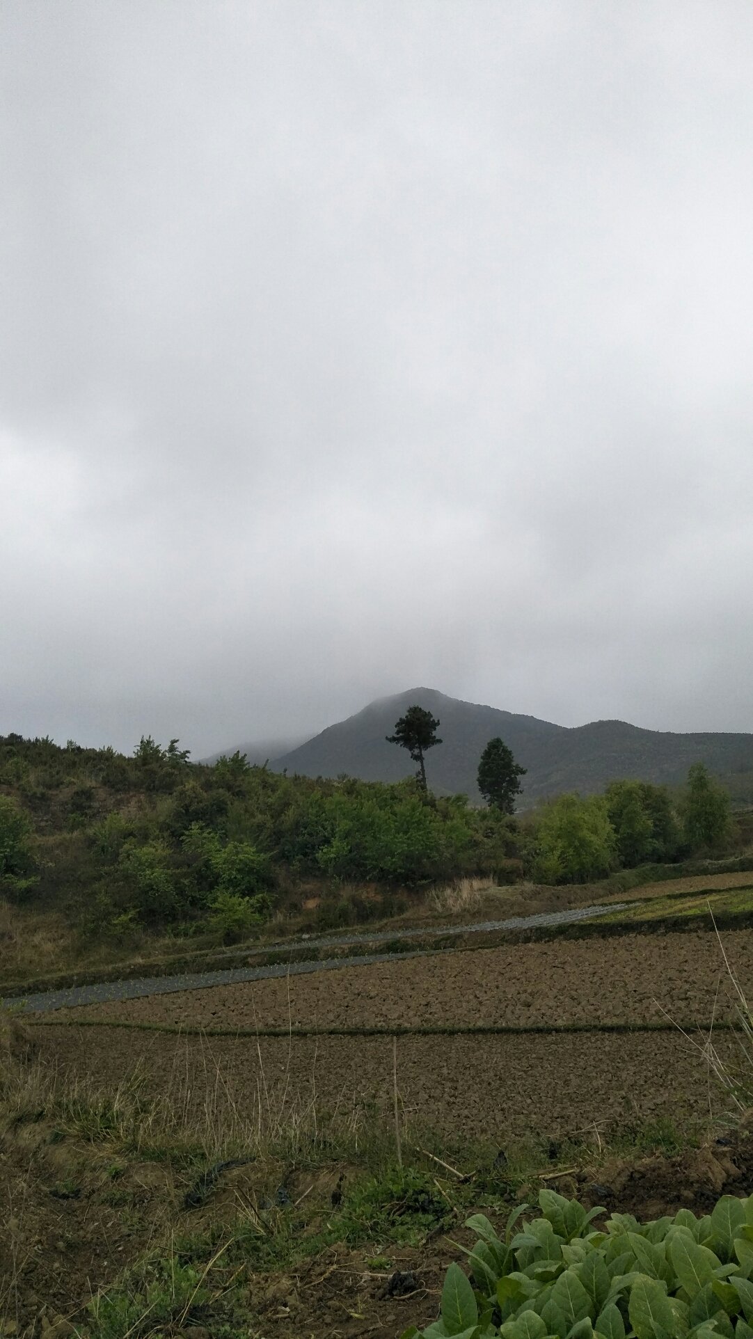 吉木扣村天气预报更新通知