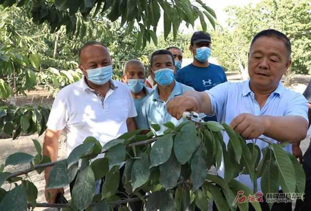 福海县自然资源和规划局领导团队引领未来，共筑美好家园新篇章