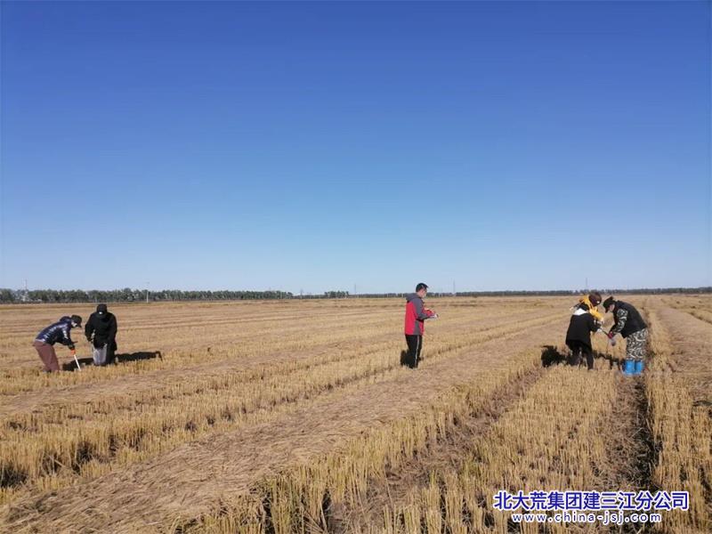 青龙山农场最新天气预报概览