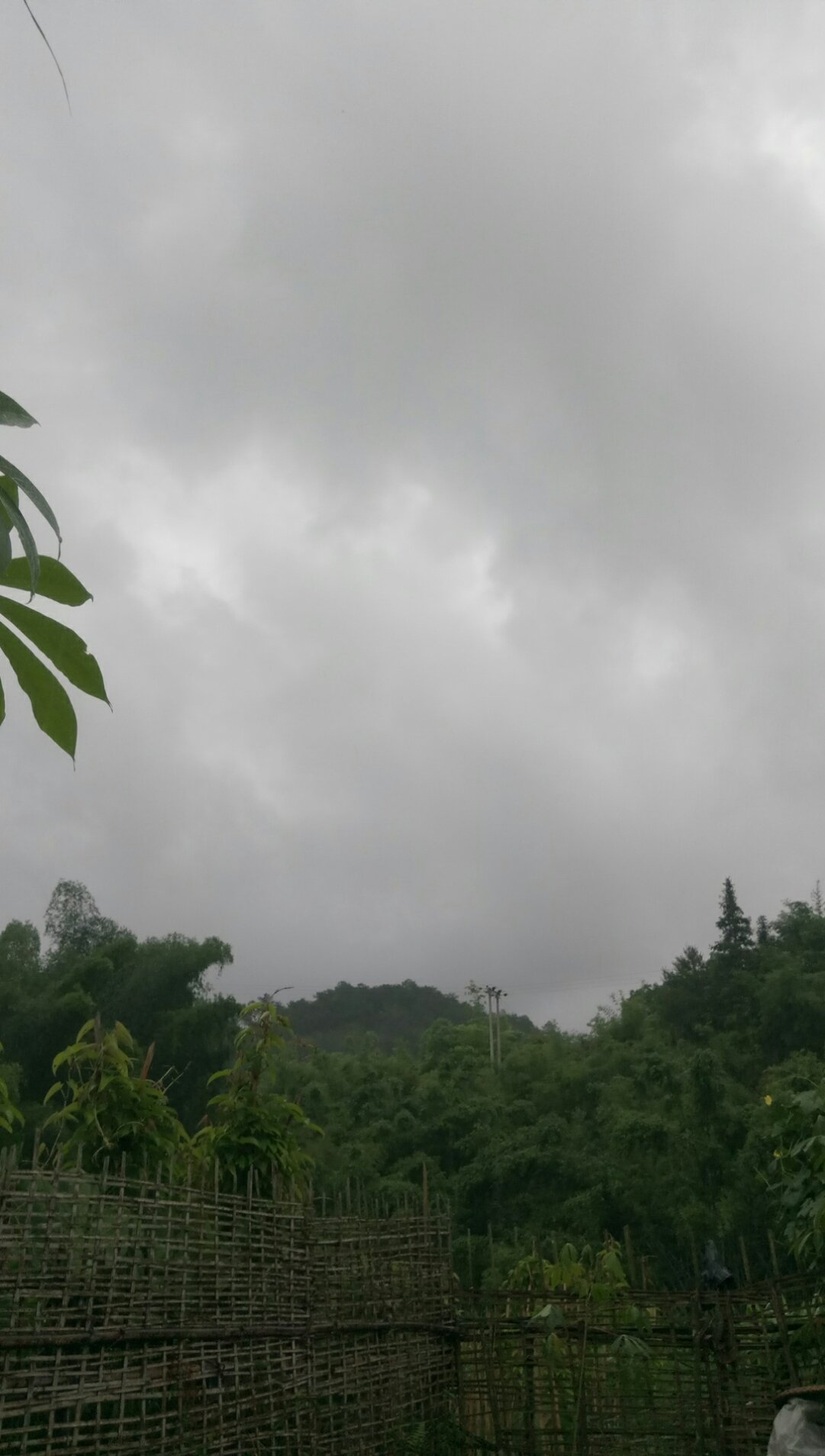 万灵镇天气预报更新通知