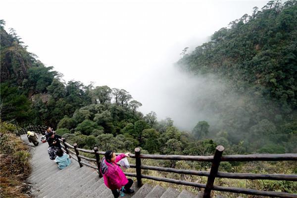 宜章县文化广电体育和旅游局新项目启动，助力地方文化广电体育事业蓬勃发展