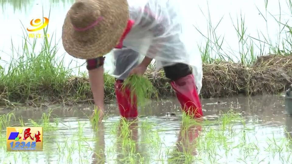 胭脂村委会新领导团队引领下的崭新气象