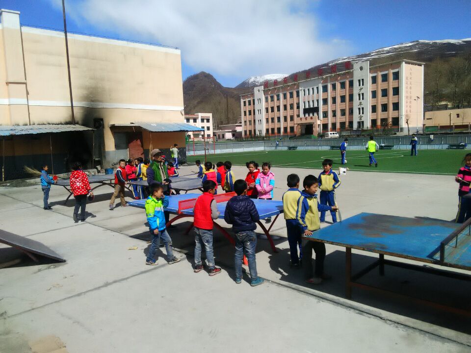 大通回族土族自治县小学最新动态报道