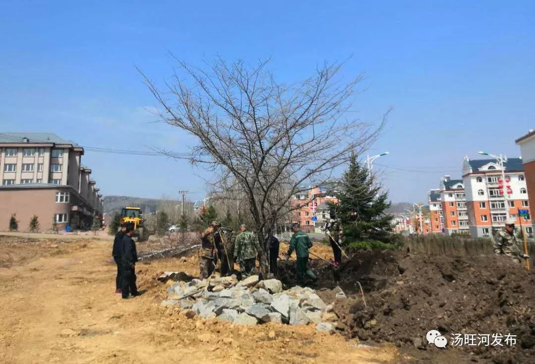 苇河镇新项目，引领地方发展的强大动力源泉